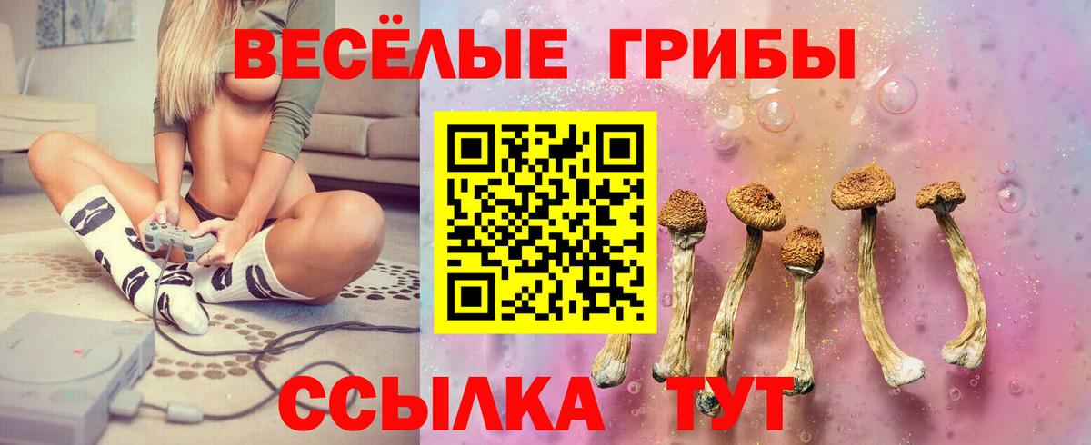 Псилоцибиновые грибы Psilocybine cubensis Ногинск